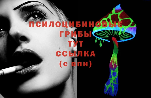 ешки Каменногорск