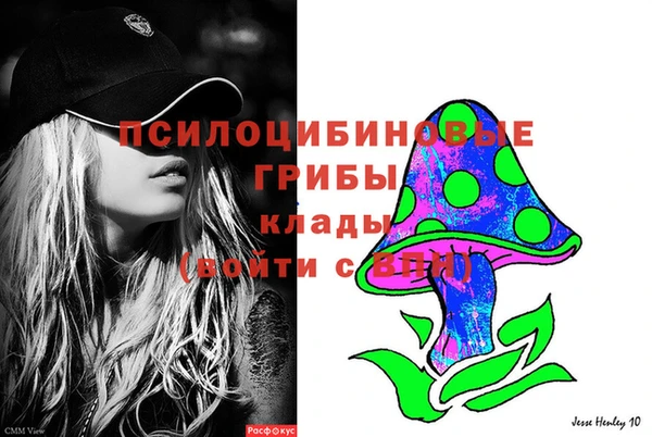 бошки Каменка