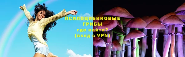 ешки Каменногорск
