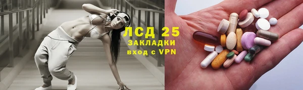 ешки Каменногорск