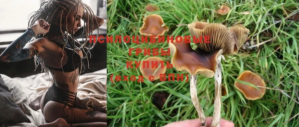 бошки Каменка