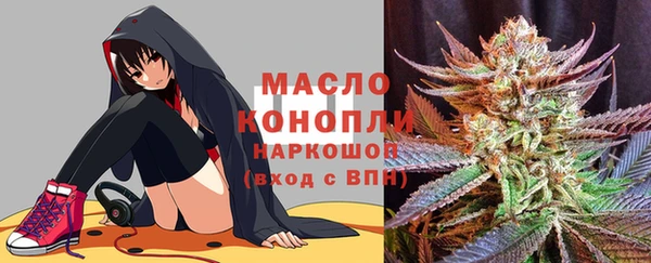 ешки Каменногорск