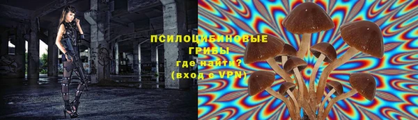 ешки Каменногорск