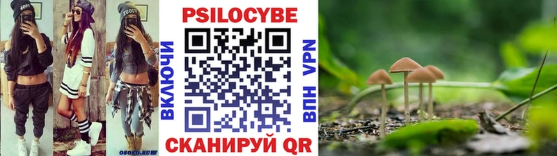 Галлюциногенные грибы Magic Shrooms  Купить где  Губкин 